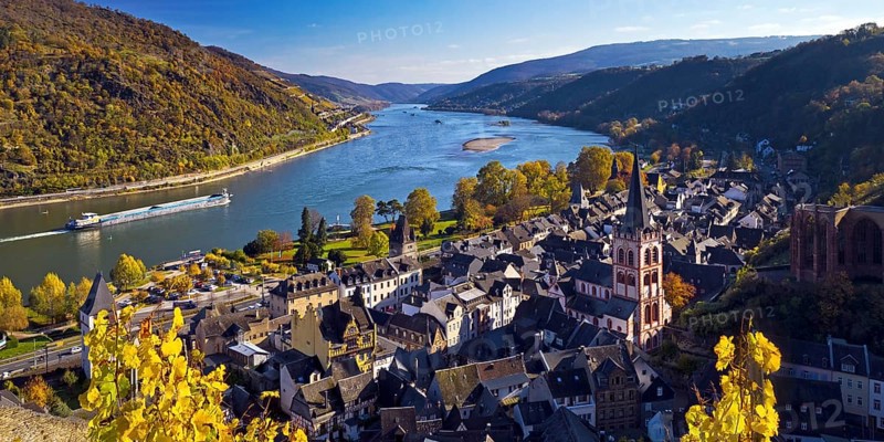 Autumn view of Bacharach on the Rhine with St. Peter's Church, UNESCO World Heritage Upper Middle Rhine Valley, Rhineland-Palatinate, Germany, Europe