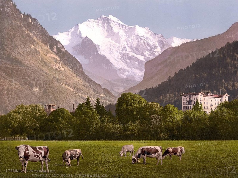 Jungfrau und Jungfraublick Hotel, Bernese Hotel, Switzerland, Historic, digitally restored reproduction from a 19th century original, Record date not stated, Jungfrau and Jungfraublick Hotel, Bernese Hotel, Switzerland, Historic, digitally restored reproduction from a 19th century original, Record date not stated, Europe