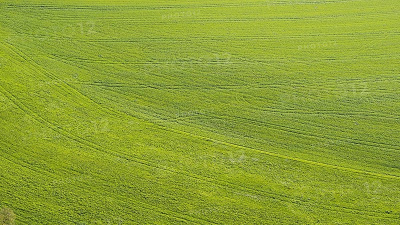 Meadow, tractor tracks, Swabian Alb, Baden-Württemberg, Germany, Europe