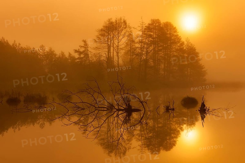 Mystical landscape with reflecting water and sunset atmosphere, Schwenninger moss, Villingen-Schwenningen, Black Forest-Baarkreis, Baden-Württemberg, Germany, Europe