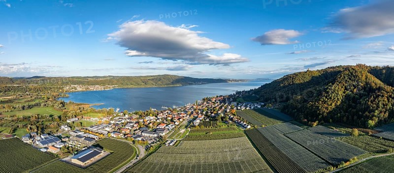 Aerial view, panorama of the village of Bodman on the shore of Lake Überlingen, the northwestern part of Lake Constance, on the left the Stockach Aach estuary in autumn vegetation, on the right the Bodanrück, Lake Constance, Bodman-Ludwigshafen, district of Constance, Baden-Württemberg, Germany, Europe