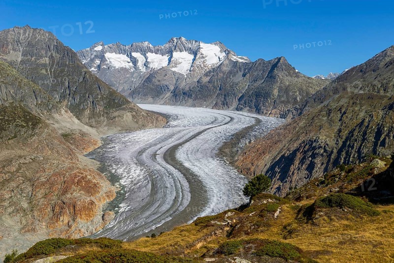 Aletsch glacier, glacier tongue, panorama, climate change, decline, global warming, ice, global climate, tourism, Aletsch Arena, Valais, Switzerland, Europe