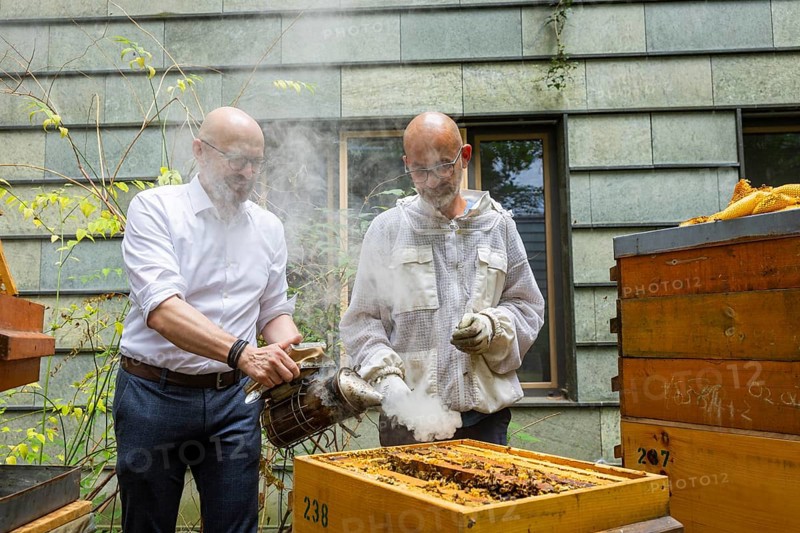 Jens Ardelt and State Secretary Thomas Kralinski hiving a beehive. Since the beginning of 2023, 500, 000 new employees have been working in the Saxon Ministry of Labour: Eight bee colonies have been busily collecting nectar for honey ever since. Beekeeper Rico Heinzig (MyHoney GmbH from Meißen) has been known throughout Germany since his legal dispute with satirist Jan Böhmermann. MyHoney currently looks after over 200 bee colonies. In 2022, the organic beekeeping business received the international London Money Award in Gold, beekeeper at the Saxon Ministry of Labour, Dresden, Saxony, Germany, Europe