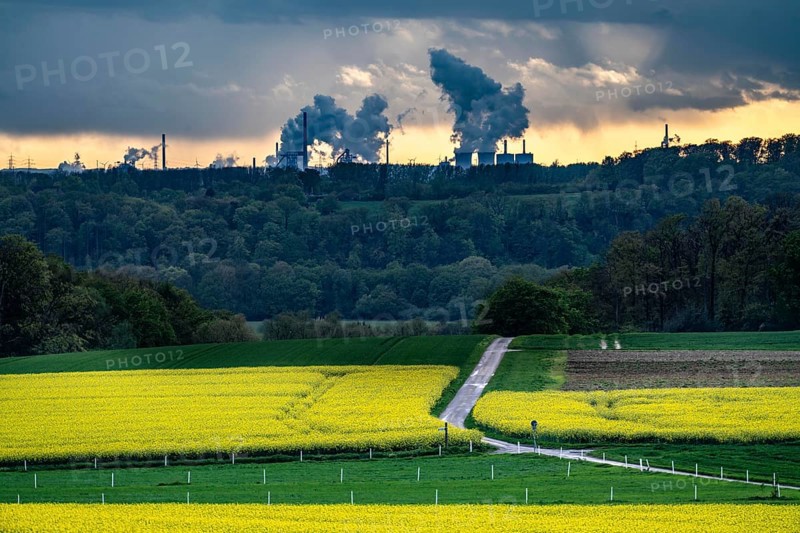 View over Mülheim an der Ruhr, Ickten, rape fields, over the Ruhr heights, to Duisburg-Hüttenheim, steelworks, blast furnaces, coking plant, of the Krupp-Mannesmann steelworks, HKM, North Rhine-Westphalia, Germany, Europe