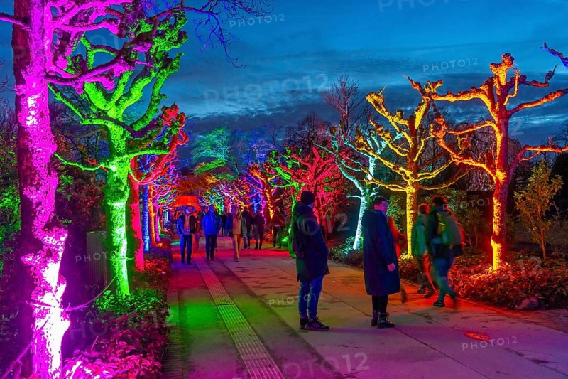 Parkleuchten, event in winter, in the Grugapark in Essen, many different light installations, across the park, attract many thousands of visitors, North Rhine-Westphalia, Germany, Europe