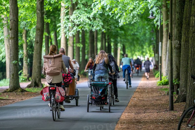 Promenade cycle path, tree-lined, car-free, approximately 4.5 km long ring road around the city centre of Münster, North Rhine-Westphalia, Germany, Europe