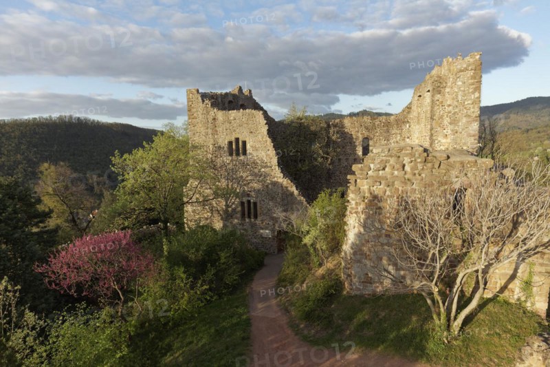 Baden Castle, castle ruins in the evening light, Badenweiler, Markgräflerland, Schwazwald, Baden-Württemberg, Germany, Europe