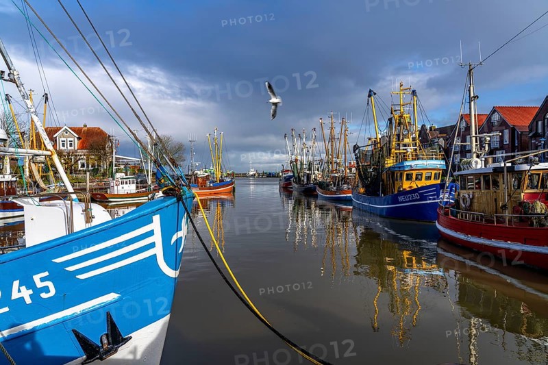 Cutter harbour Neuharlingersiel, shrimp cutter, East Frisia, Lower Saxony, Germany, Europe
