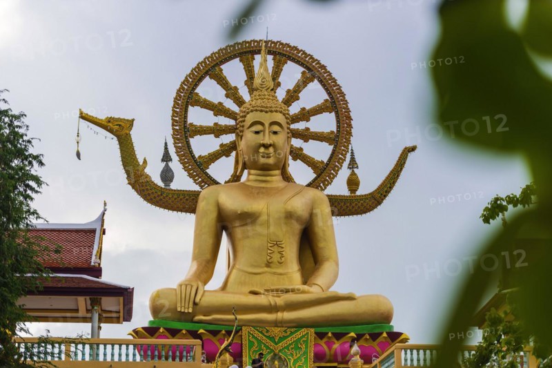 Sitting Buddha at Wat Phra Yai, Buddhist Temple, Big Buddha Temple, religion, Buddhism, figure, statue, sculpture, worship, God, sacred, world religion, spiritual, Buddha, Asian, deity, human figure, monument, sage, wisdom, image, religious, travel, tourism, art, history, cultural history, cult, icon, architecture, gold, golden, gilded, culture, peaceful, faith, monument, public, sitting, looking, Koh Samui, Thailand, Asia