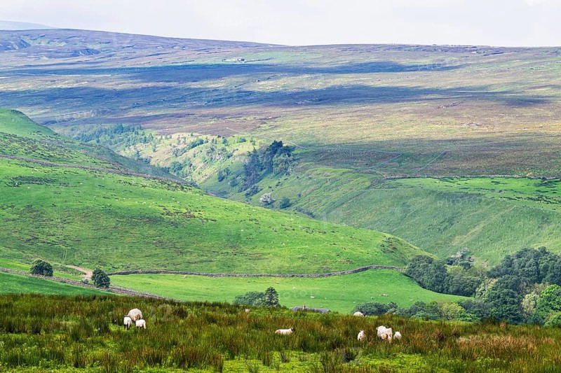 Farms over North Pennines, Cumbria, Durham, Northumberland, North Yorkshire, England, United Kingdom, Europe