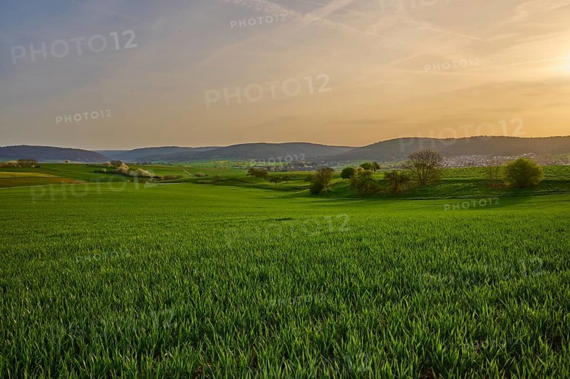Green meadow in hilly landscape at sunrise with soft clouds in the sky, Mönchberg, Mltenberg, Spessart, Bavaria, Germany, Europe