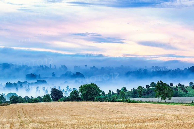 Morning mist in a rural landscape in a valley by a field in late summer