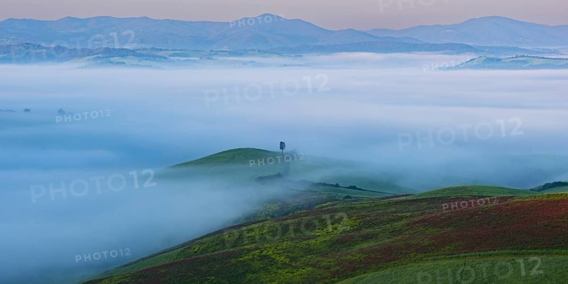 Landscape at sunrise around Volterra, Province of Pisa, Tuscany, Italy, Europe