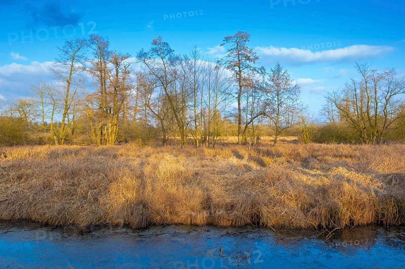 View of the vegetation along the Fangegraben and cycle path at the Steinhuder Meer, ditch, trees, landscape photo, nature photo, flora, fauna, landscape format, willow, grasses, lowland, sky, clouds, Hagenburg, Steinhude, Hanover region, Lower Saxony, Germany, Europe