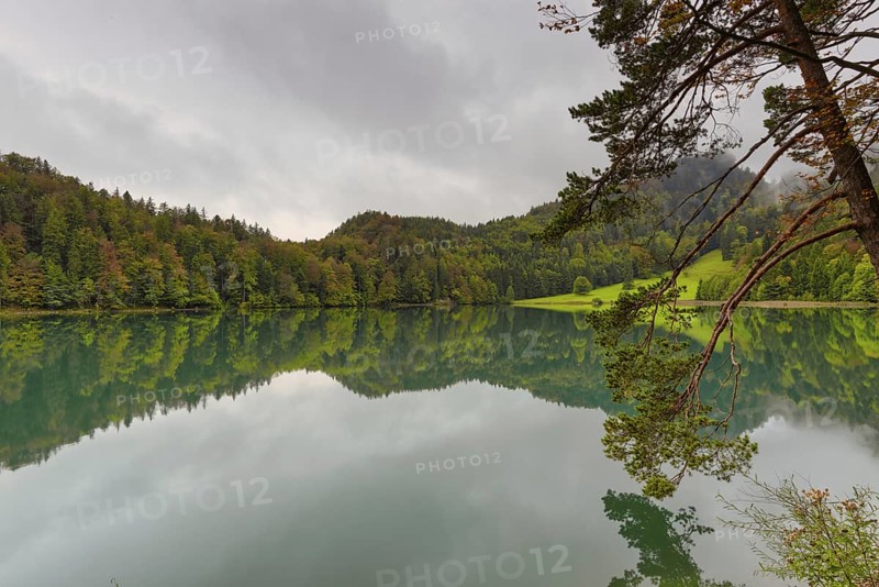 Alatsee, Ostallgäu, Allgäu, Swabia, Bavaria, Germany, Europe