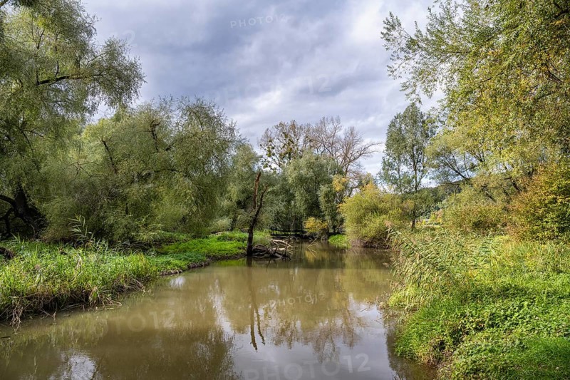 The Stockacher Aach flows through the autumn-coloured Stockacher Aachried into western Lake Constance, Hegau, Bodman-Ludwigshafen, Stockach, district of Constance, Baden-Württemberg, Germany, Europe