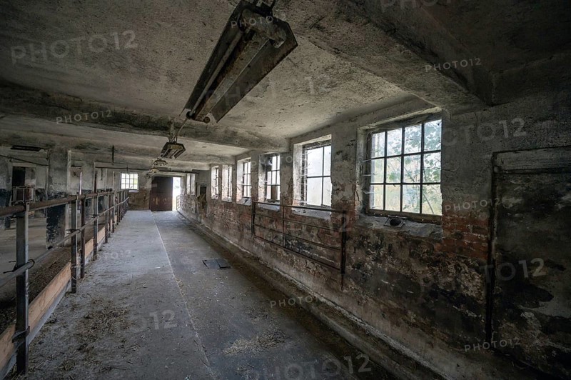 Empty cowshed of a former LPG of the GDR, Mecklenburg-Vorpommern, Germany, Europe
