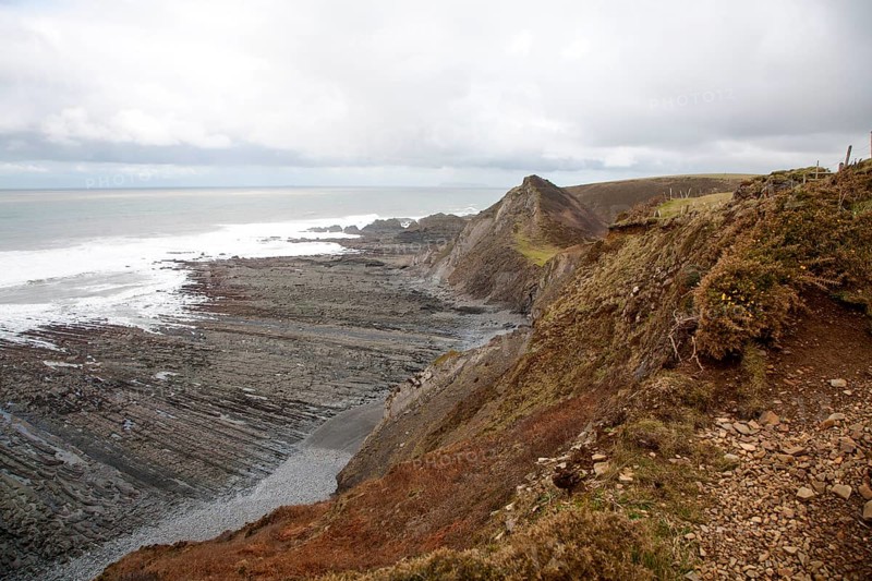 Rocky wave cut platform erosional landforms with ridges formed by eroded tilted strata at Hartland Quay, north Devon, England, United Kingdom, Europe