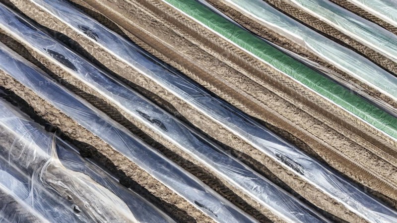 Asparagus field covered with foil, Beelitz, 26/03/2024