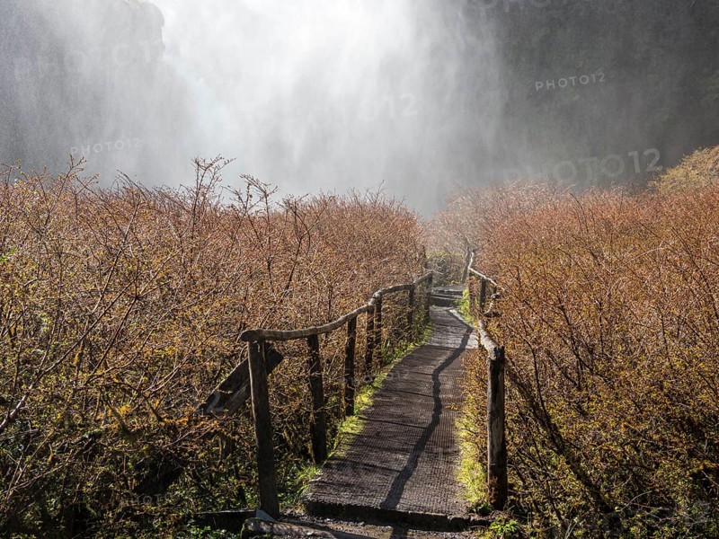 Waterfall Salto El Leon, path leading behind water veil, valley of waterfalls east of Pucon, La Auracania, Chile, South America
