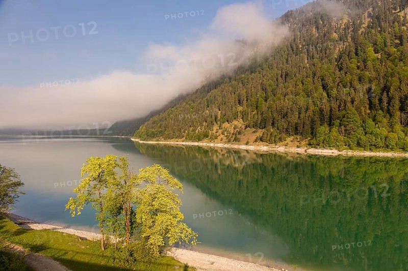 Early morning at the Sylvenstein reservoir, Reservoir in the Isarwinkel, municipality of Lenggries, built between 1954 and 1959 for flood protection in the Isar valley