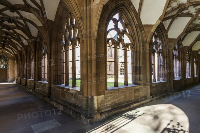 Cloister, Basel Minster, Basel, Canton of Basel-Stadt, Switzerland, Europe