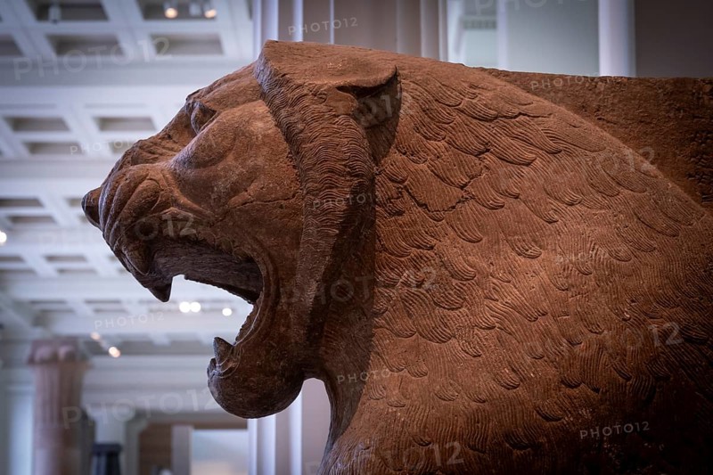 Colossal lion statue, guarded entrance to the temple of Ishtar Sharrat-niphi, British Museum, London, London region, England, Great Britain