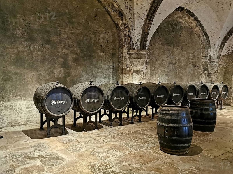 Wine cellar in Eberbach Abbey, Erbach Abbey, former Cistercian abbey near Eltville am Rhein, Hesse, Germany, Europe