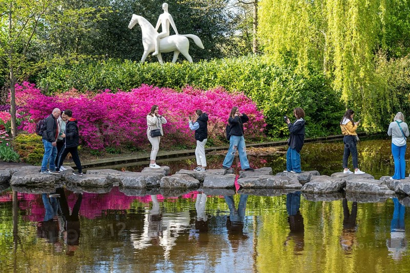 The Keukenhof, gardens, amusement park, spring park, spring flower show, near Lisse, South Holland, Netherlands, tulip, daffodil and hyacinth show with over 7 million flowers, one of the biggest tourist attractions in Holland