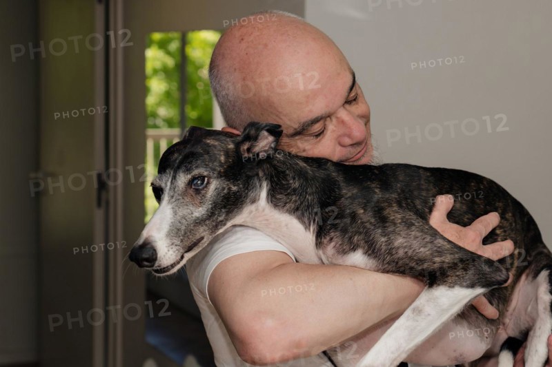 Portrait of a mature man cradling a greyhound dog in his arms at home, sharing an affectionate gesture