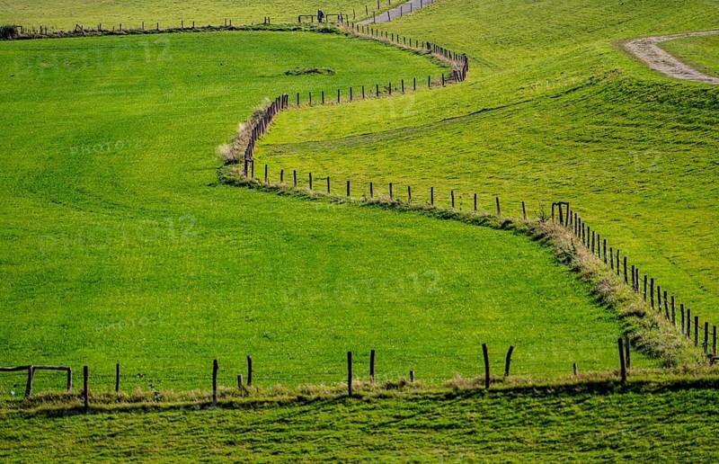 Lower Rhine landscape, dyke foreland near Grieth, North Rhine-Westphalia, Germany, Europe