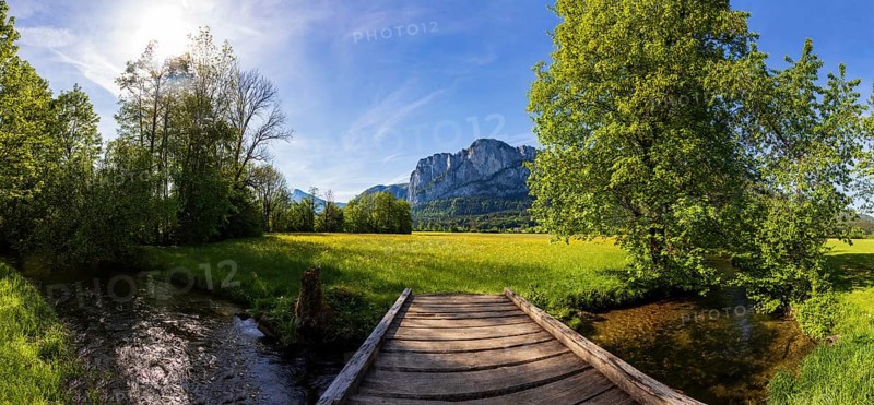 Fuschler Ache and spring flower meadow with Drachenwand, Mondseeland, Salzkammergut, Upper Austria, Austria, Europe