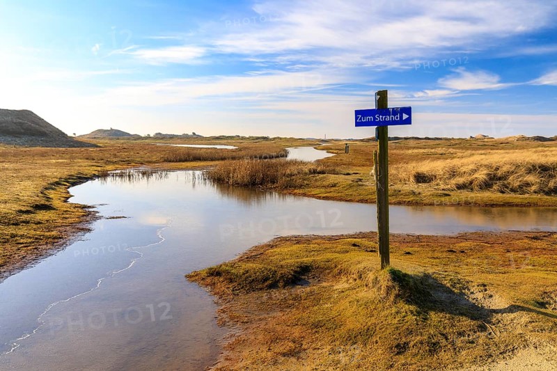 The footpaths in the dune landscape at the Postbake have been transformed into lakes by the groundwater, Norderney, Lower Saxony, Germany, Europe