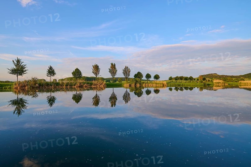 Lake in spring with row of trees and reflection, Drei Gleichen, Ilm-Kreis, Thuringia, Germany, Europe