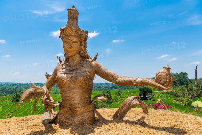 Statue of Dewi Sri, goddess of rice, rice goddess, Jatiluwih rice terraces, Bali Indonesia