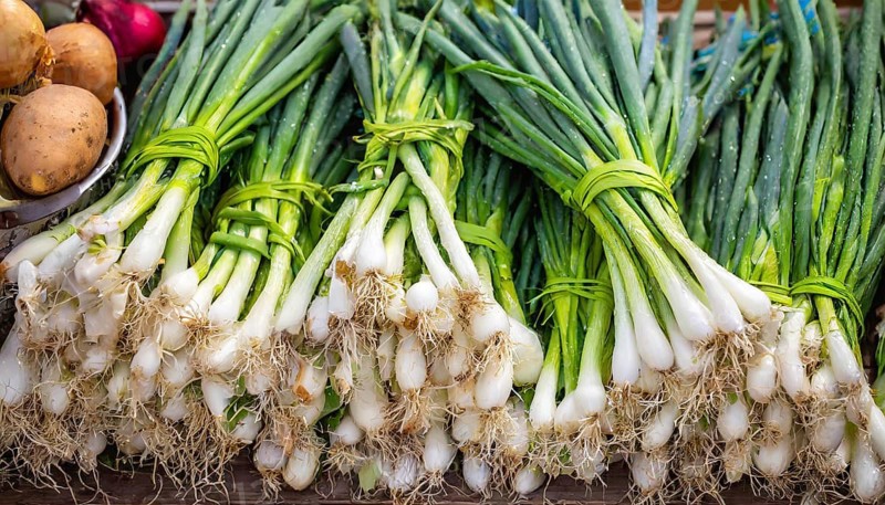 Vegetable, spring onion or spring onion, also known as winter onion, Allium fistulosum, in a bunch at a market stall