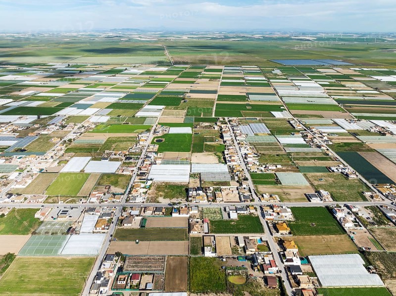 The semi rural district of La Algaida with its cultivated fields next to Sanlúcar de Barrameda. Aerial view. Drone shot. Cádiz province, Andalusia, Spain, Europe