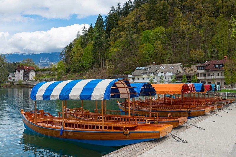 Wooden boats with strip canopies on a quiet lake in front of forest and houses, Lake Bled, Lake Veldes, Blejsko jezero, Bled, Veldes, Feldes, Upper Carniola region, Gorenjska, Slovenia, Balkans, Europe