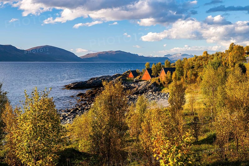 Boat cabins in an autumnal landscape on the Lyngenfjord, Lyngen, Troms og Finnmark, Norway, Europe
