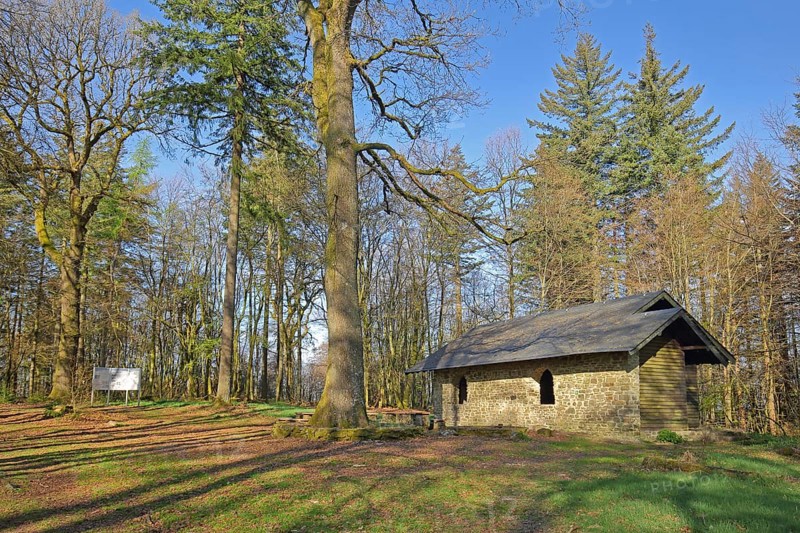 Shelter from the Celtic ring wall, Celtic, forest, Hunnenring, Otzenhausen, Nonnweiler, Hunsrück, Saarland, Germany, Europe