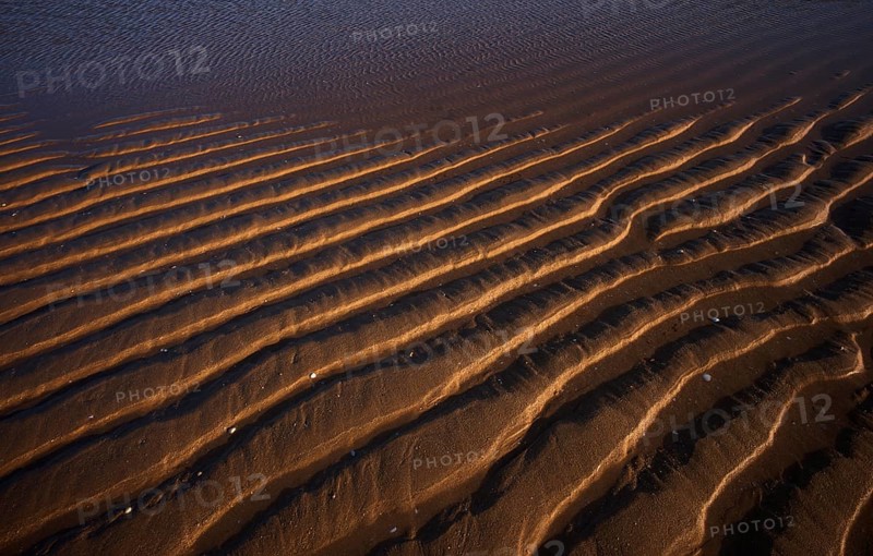 Sand ripples, wavy lines in the sand, structure, sandy beach, Meia Praia beach, Lagos, Atlantic Ocean, evening light, Algarve, Portugal, Europe