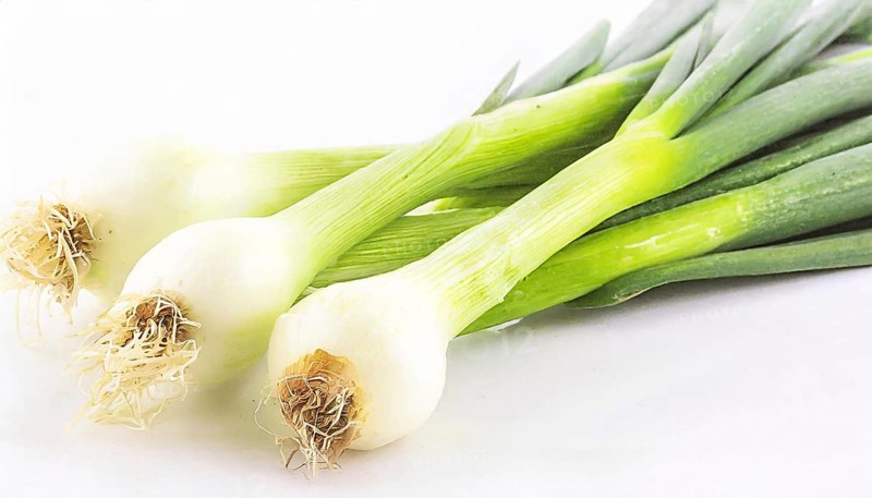 Vegetable, spring onion or spring onion, also known as winter onion, Allium fistulosum