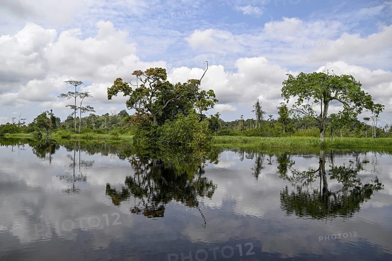 Waterscape on the Akaka River, Loango National Park, Parc National de Loango, Ogooué-Maritime Province, Gabon, Africa
