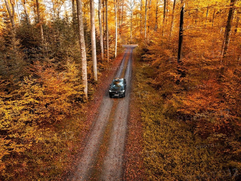 Car driving along a narrow path through a colourful autumnal forest, electric car, VW ID5, Gechingen, Black Forest, Germany, Europe