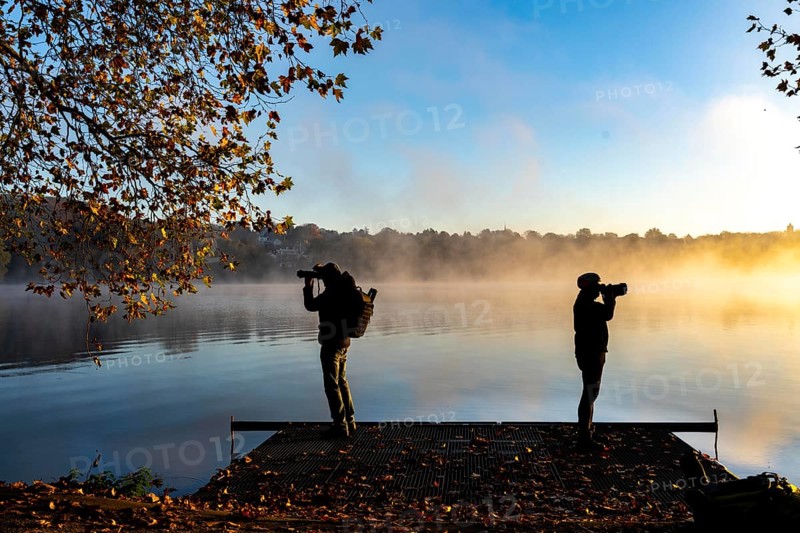 Autumnal colours at the Platanen Allee, Hardenberg Ufer, lakeside path at Lake Baldeney, near Haus Scheppen, in Essen, photographers, sunrise North Rhine-Westphalia, Germany, Europe