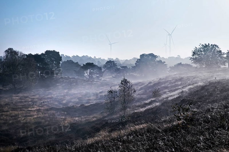 Landscape with wind turbines in the morning glow in autumn, Westruper Heide, Haltern am See, Ruhr area, North Rhine-Westphalia, Germany, Europe