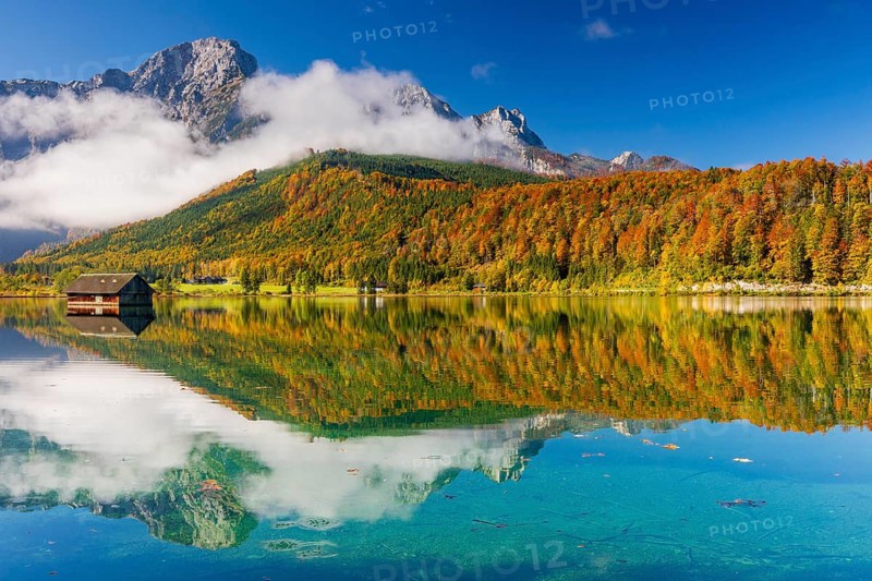 Lake Almsee in autumn with a forest reflected in the lake. A slowly dissipating fog moves over the lake. Blue sky with no clouds