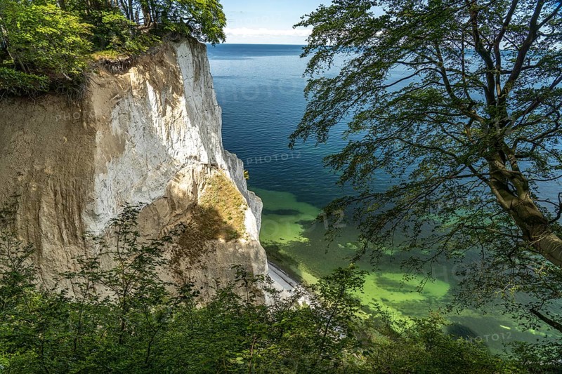 Cliffs and chalk cliffs Møns Klint, Mön Island, Denmark, Europe
