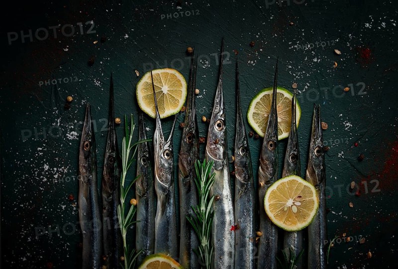 Fresh, Black Sea fish. raw, sargan, sea pike, top view, no people