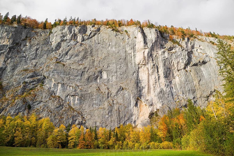 Gößler Wand in autumn. It is a rockwall of 180 m height between the lakes Toplitzsee and Grundlsee. Salzkammergut, Styria, Austria, Europe
